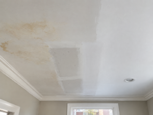 Professional paint over water stain Philadelphia detail for Philadelphia Painting Services in Center City